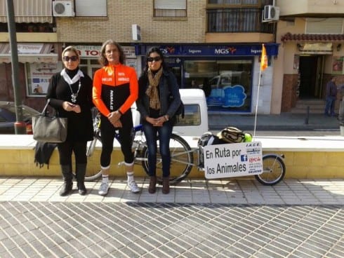 Cyclist En Ruta Por los Animales