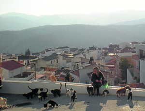 Fiona with cats