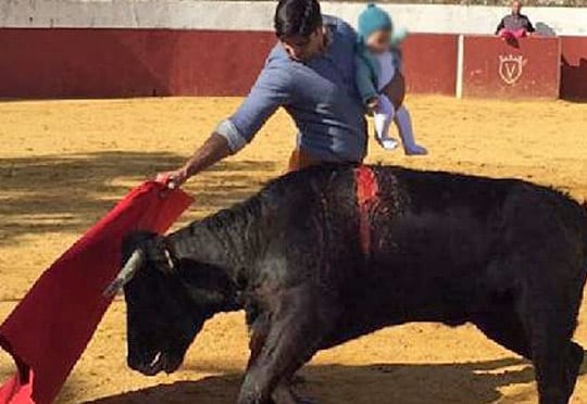 bullfight with baby