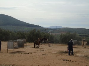 The refugio is north of Malaga city