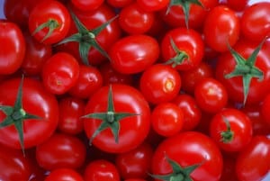 Tomato farmers see red