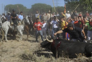 tordesillas