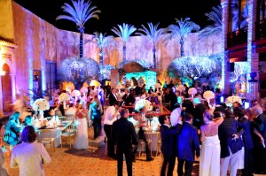parrots night out1