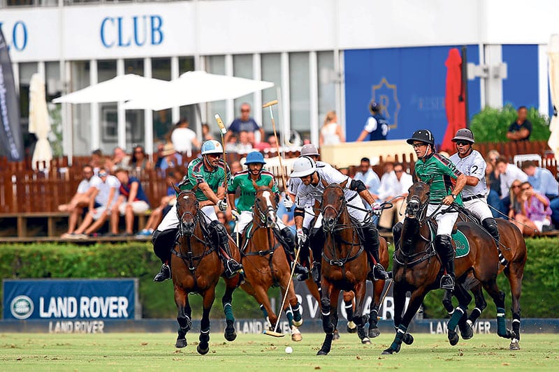 world number one polo spread
