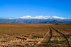 Sierra_Nevada_(Spain)