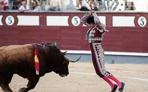 bullfighting