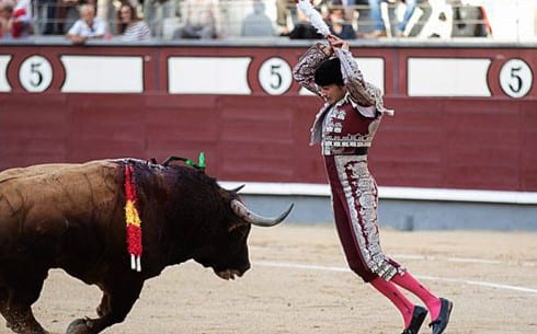 Bullfighting