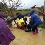 diariosur flood rescue