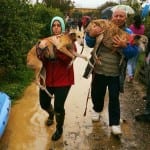 dog sanctuary flood  alhaurin de la torre