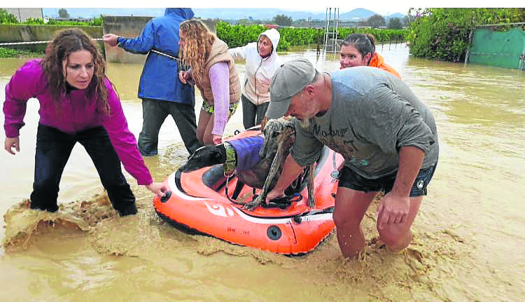 dog sanctuary flood  galgos en familia