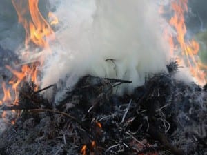 Leaf burning in gardens can be dangerous