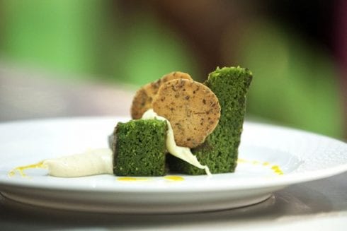 algae cakes e