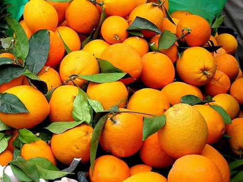 cold oranges