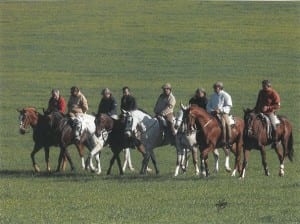 traditional-grey-hound-hunt