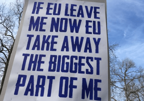 brexit banner  e