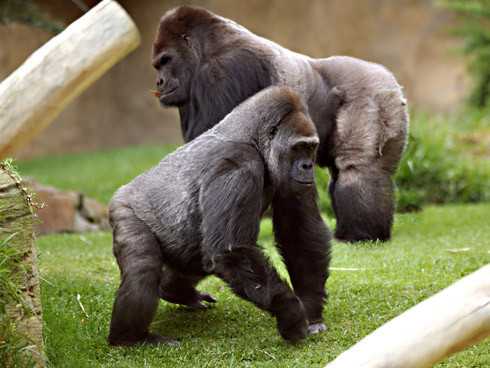 Fuengirola bioparc