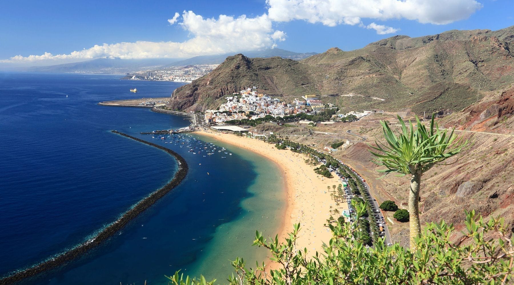 canary islands