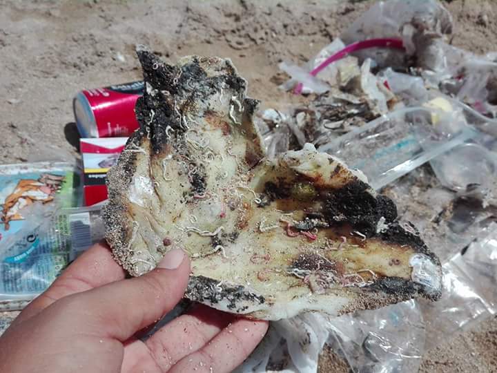 Burned Plastic