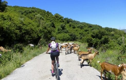 cycling