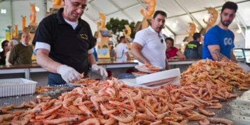 prawn festival huelva