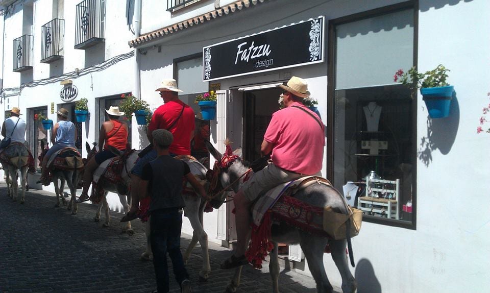 mijas donkey