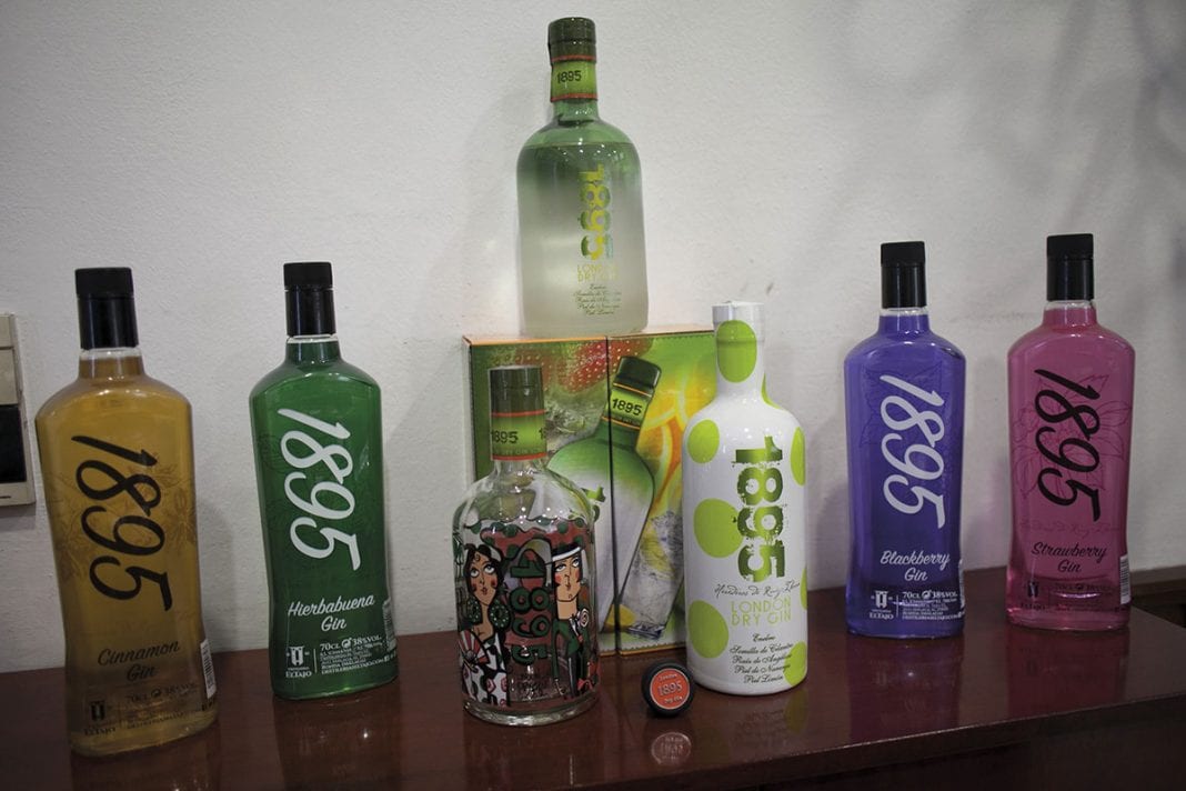 Six fruity Malaga gins you must try this summer Olive Press News Spain