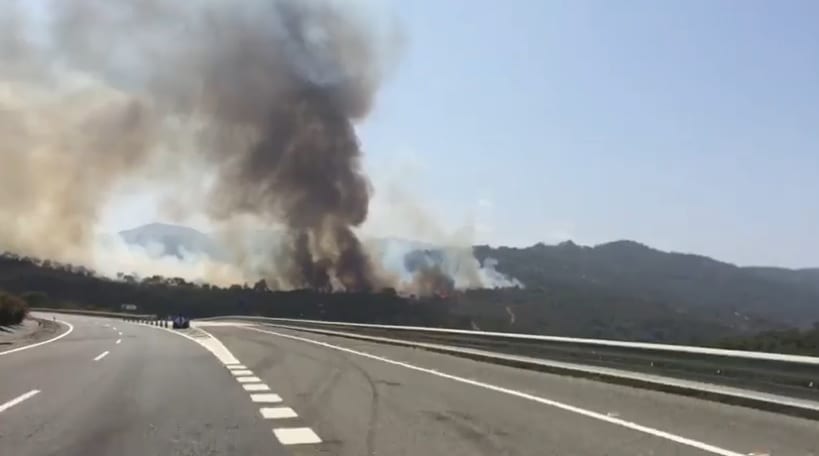 forest fire cadiz