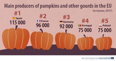 Top  pumpkin producers