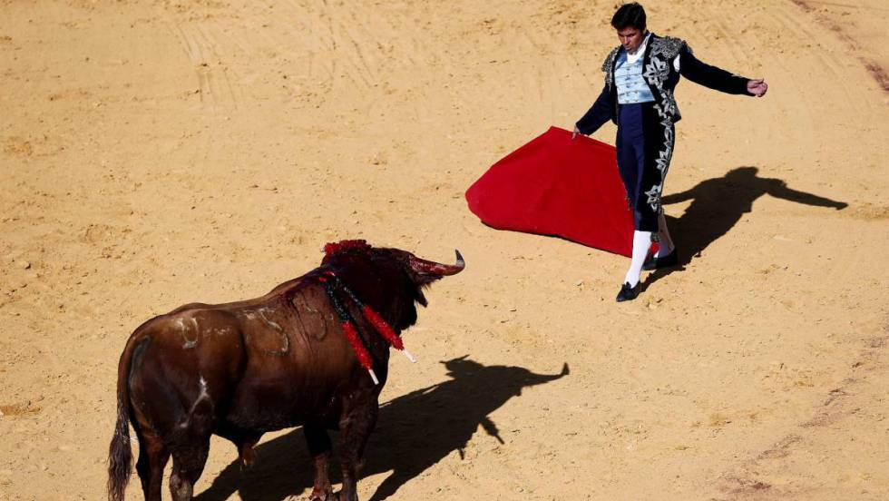 bullfight