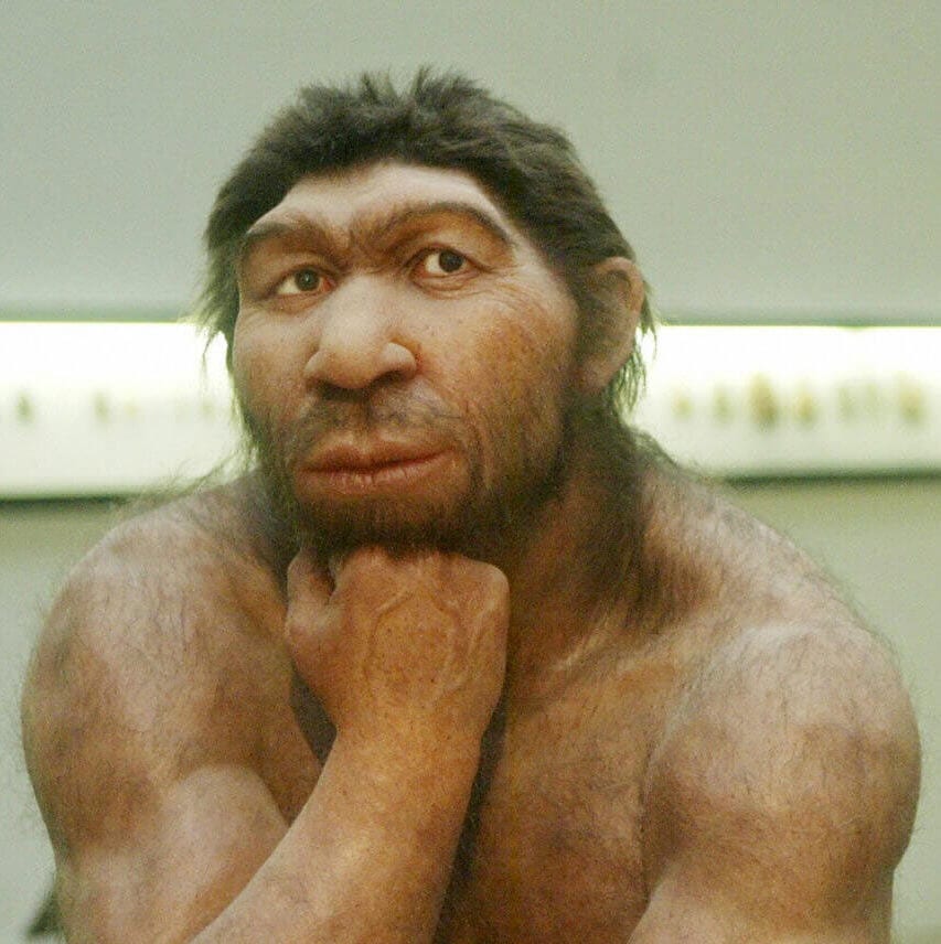 El hallazgo del grupo español sugiere que los neandertales llegaron a España mucho antes de lo que se pensaba