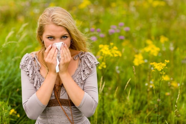 hay fever sneeze cold spring Spain