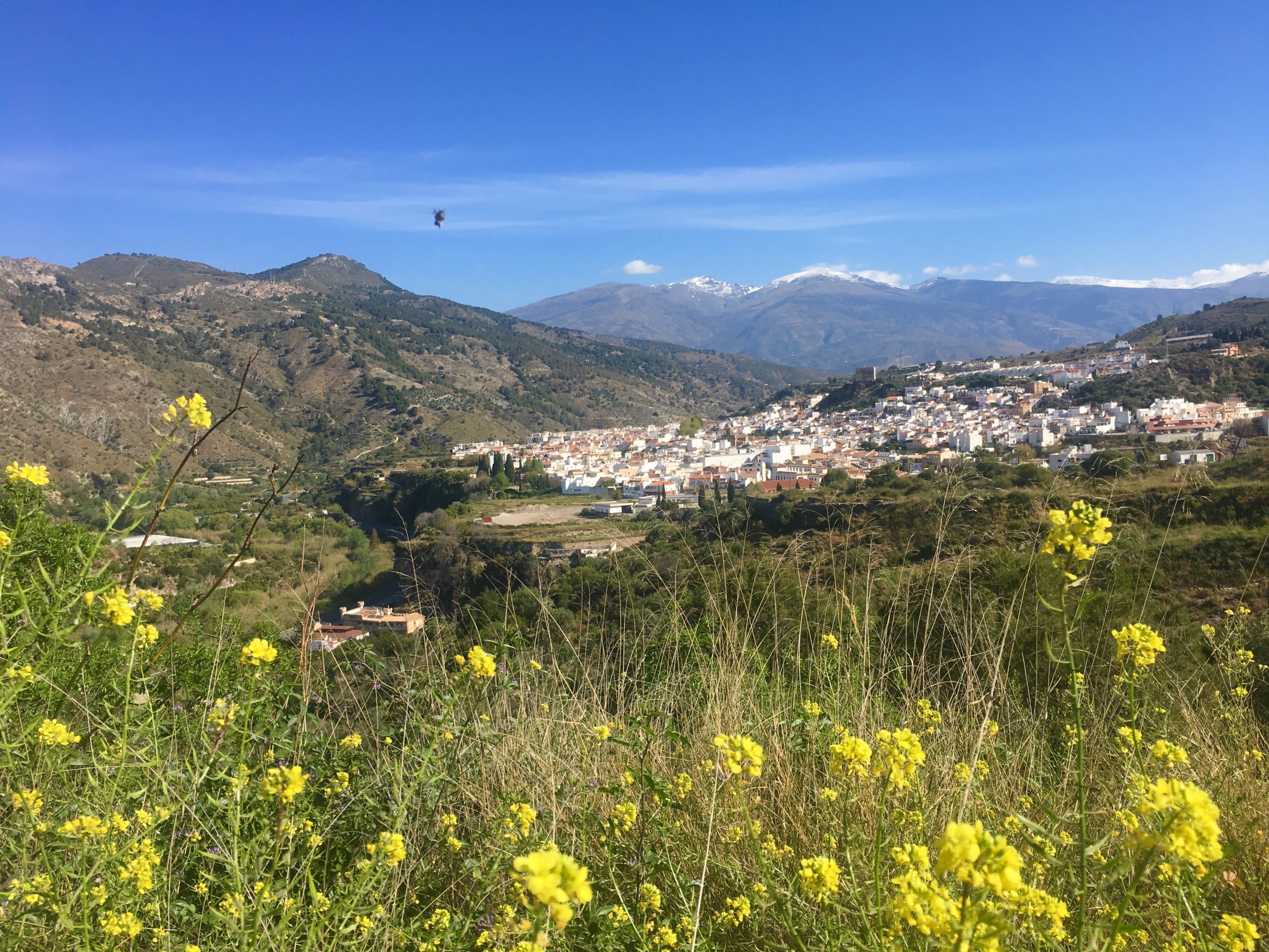 View Of Orgiva