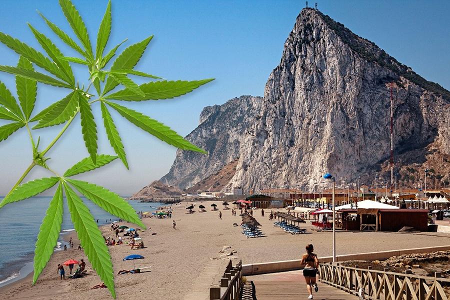 Gibraltar Cannabis