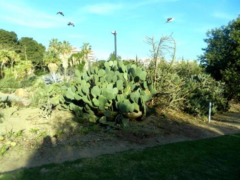 Palomo Park Benalmadena