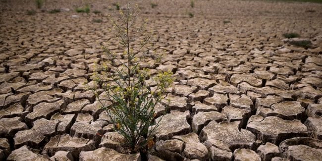 Spain water shortages