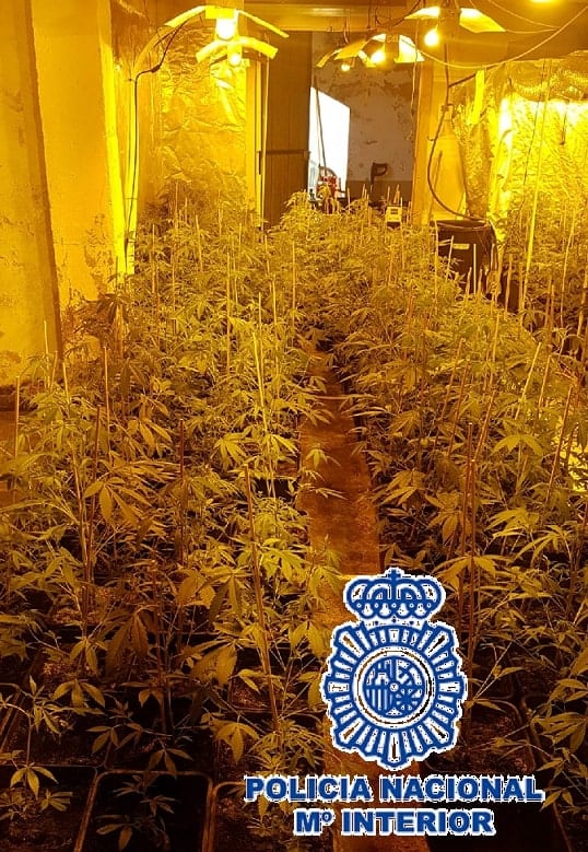 20191205 Foto 1 Marihana Mijas  1