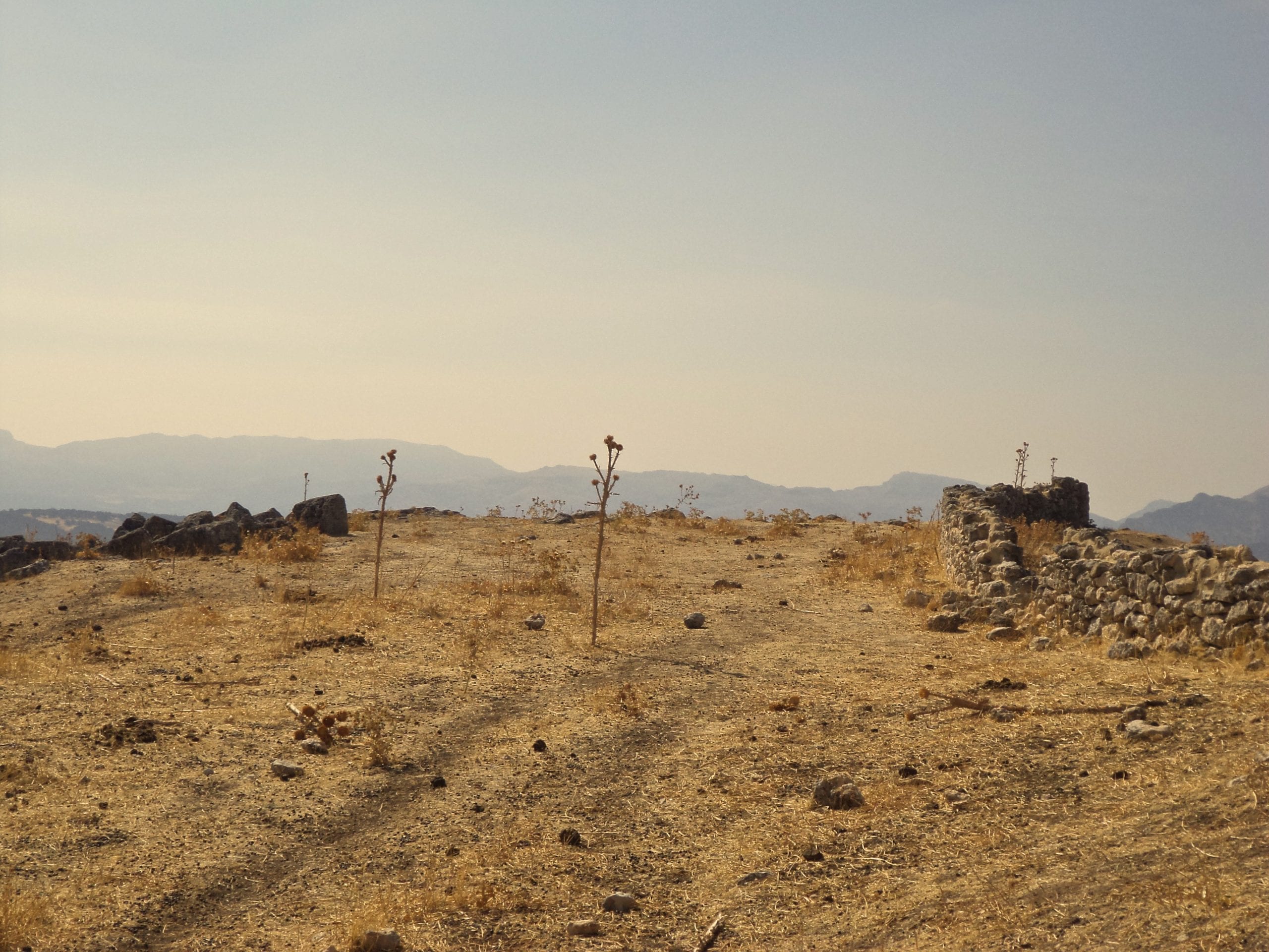 Dry Earth Photo Karethe Linaae