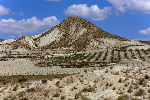 Murcia Dry