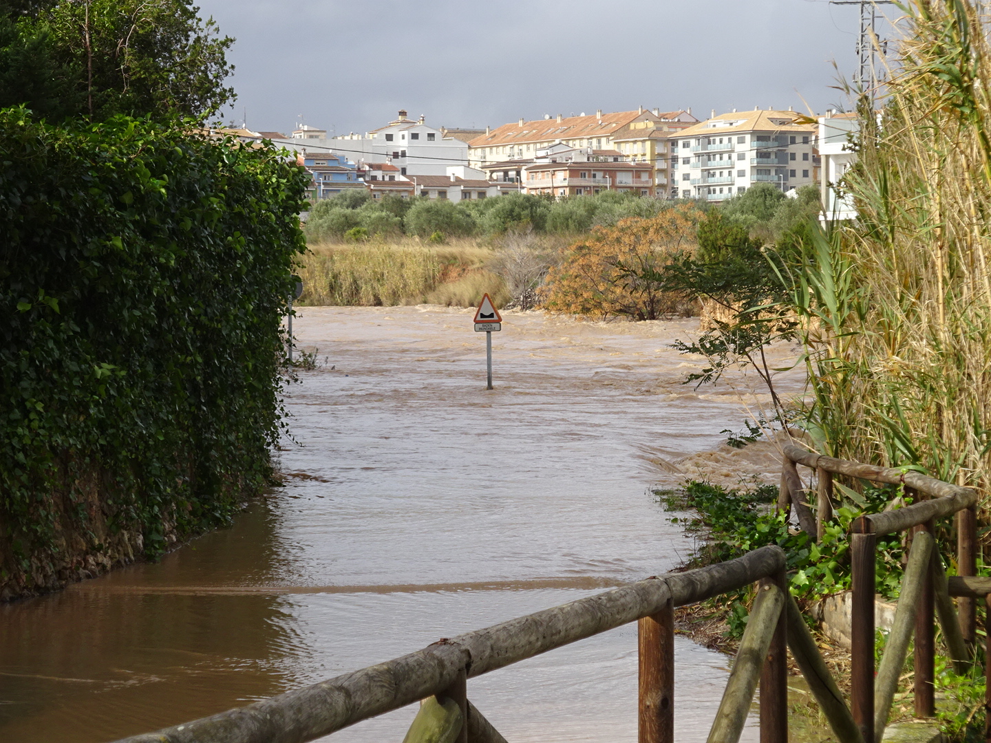 Temporal Enero 2020 9