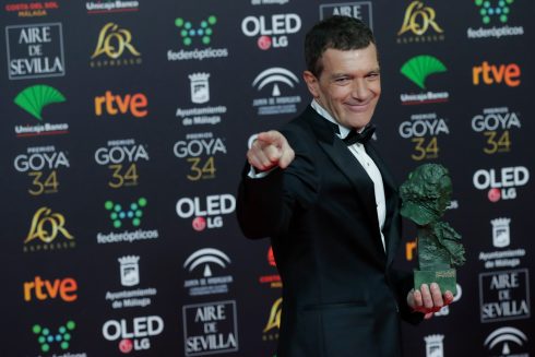 Goya Awards  Malaga  Spain   26 Jan 2020