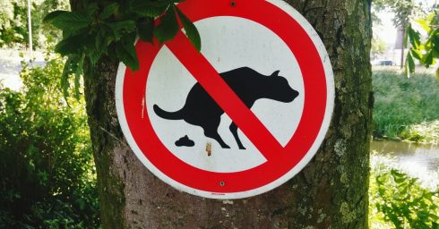 No Dog Feces Signboard On Tree Outdoors