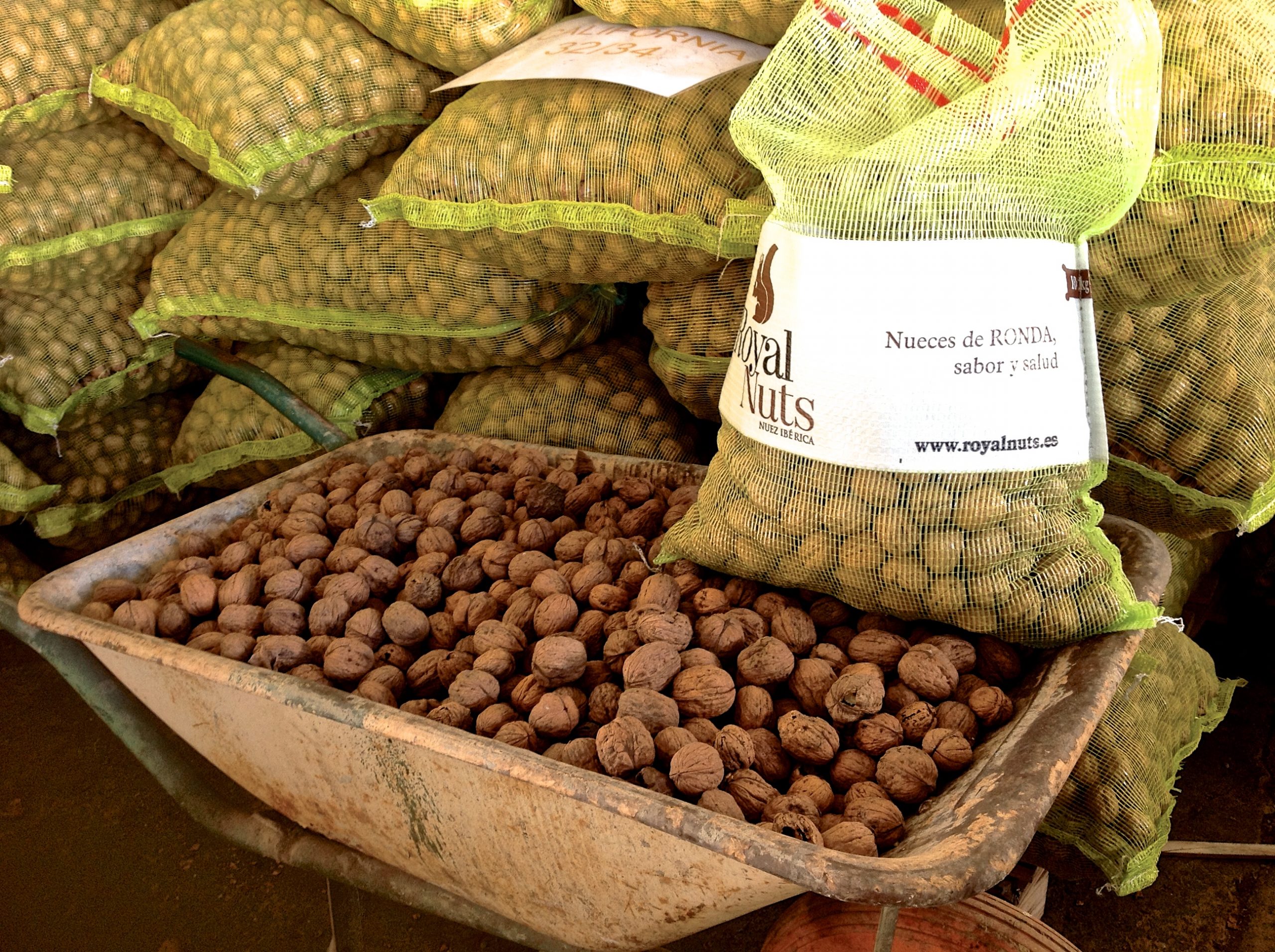 Walnuts From La Molinilla Ready For Consumption Photo Karethe Linaae