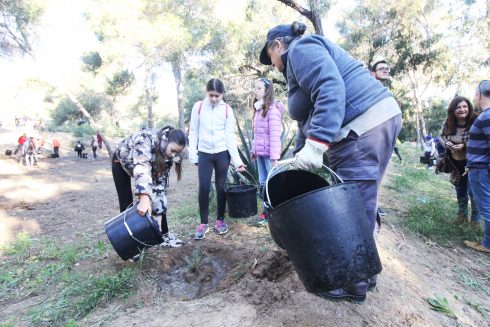 Guardamar Kids Plant Trees B