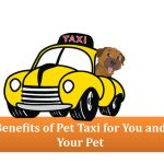 Pet Taxi