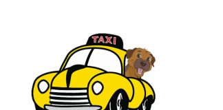 OPINION: The case of British pet transport scammer Jeremy Griffiths shows just how easy it is to set up a company in Spain Pet Taxi