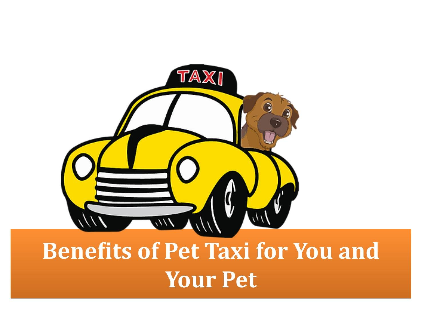 Pet Taxi