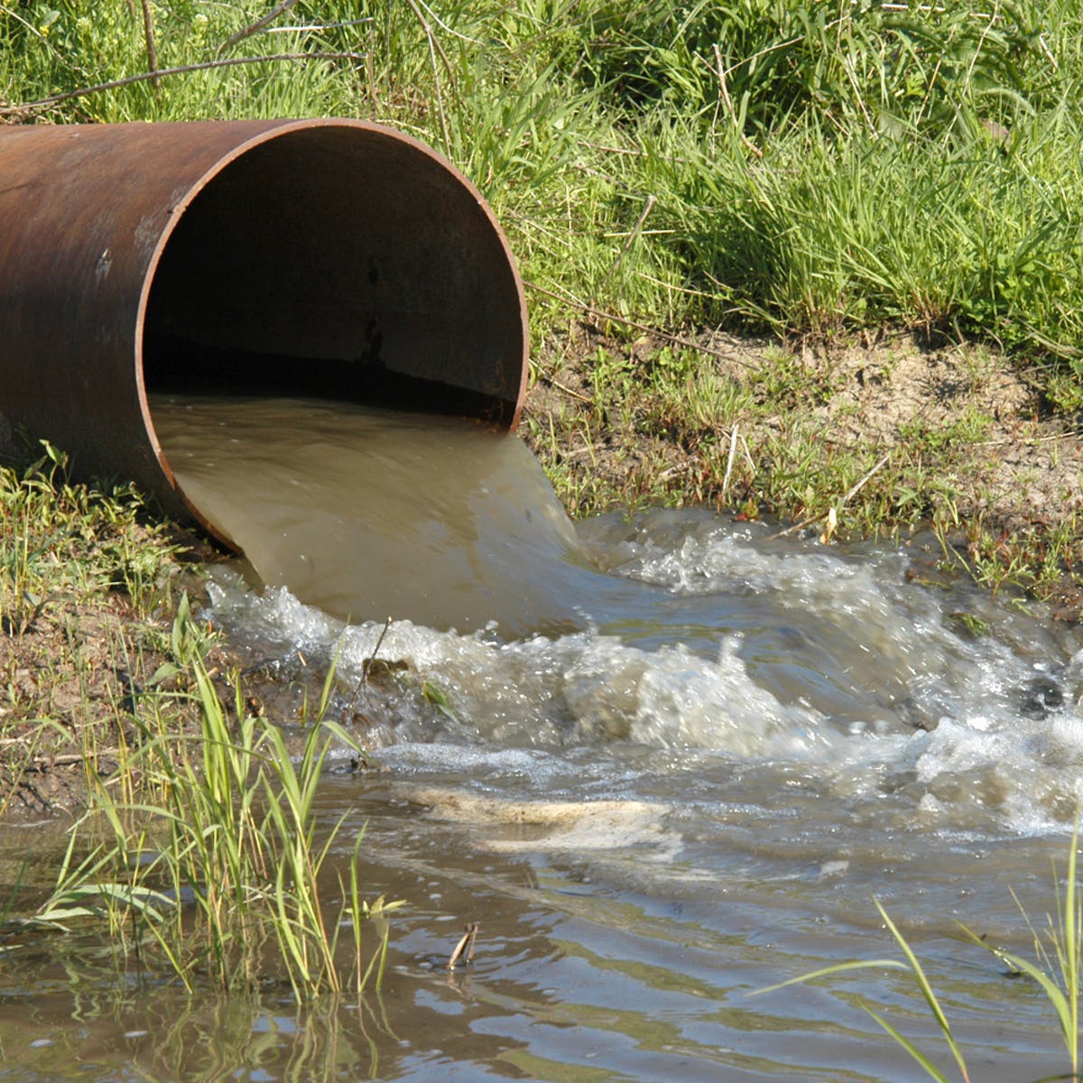 Sewage