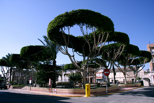 Ayuntamiento San Fulgencio