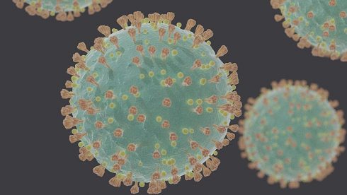 800px Coronavirus_sars Cov 2