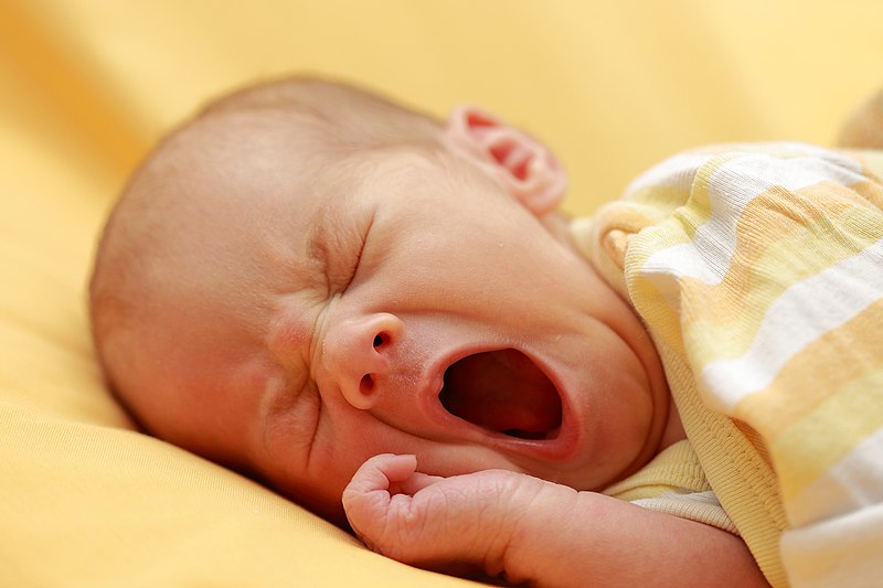 800px Yawning_infant _august_2018